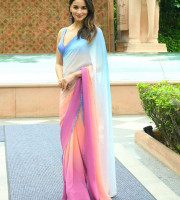 Georgette sharee-GS-501